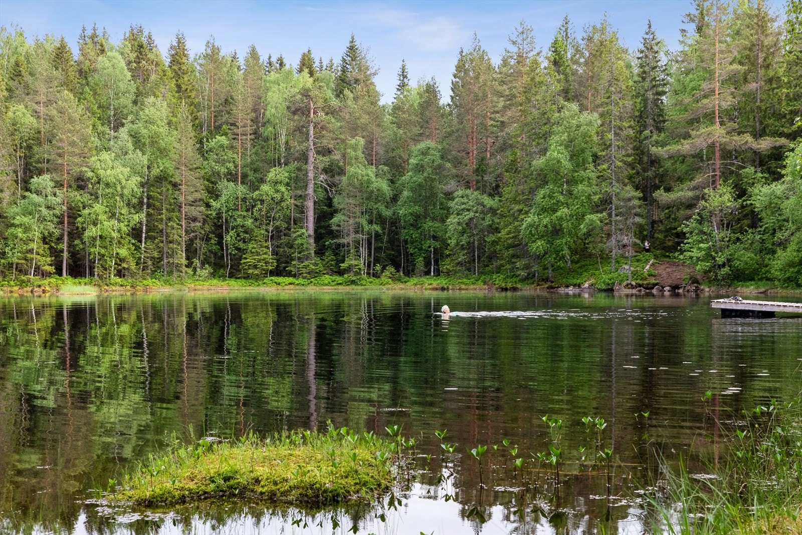 Romriksåsen byr på flotte naturopplevelser og turmuligheter. Galleribilde