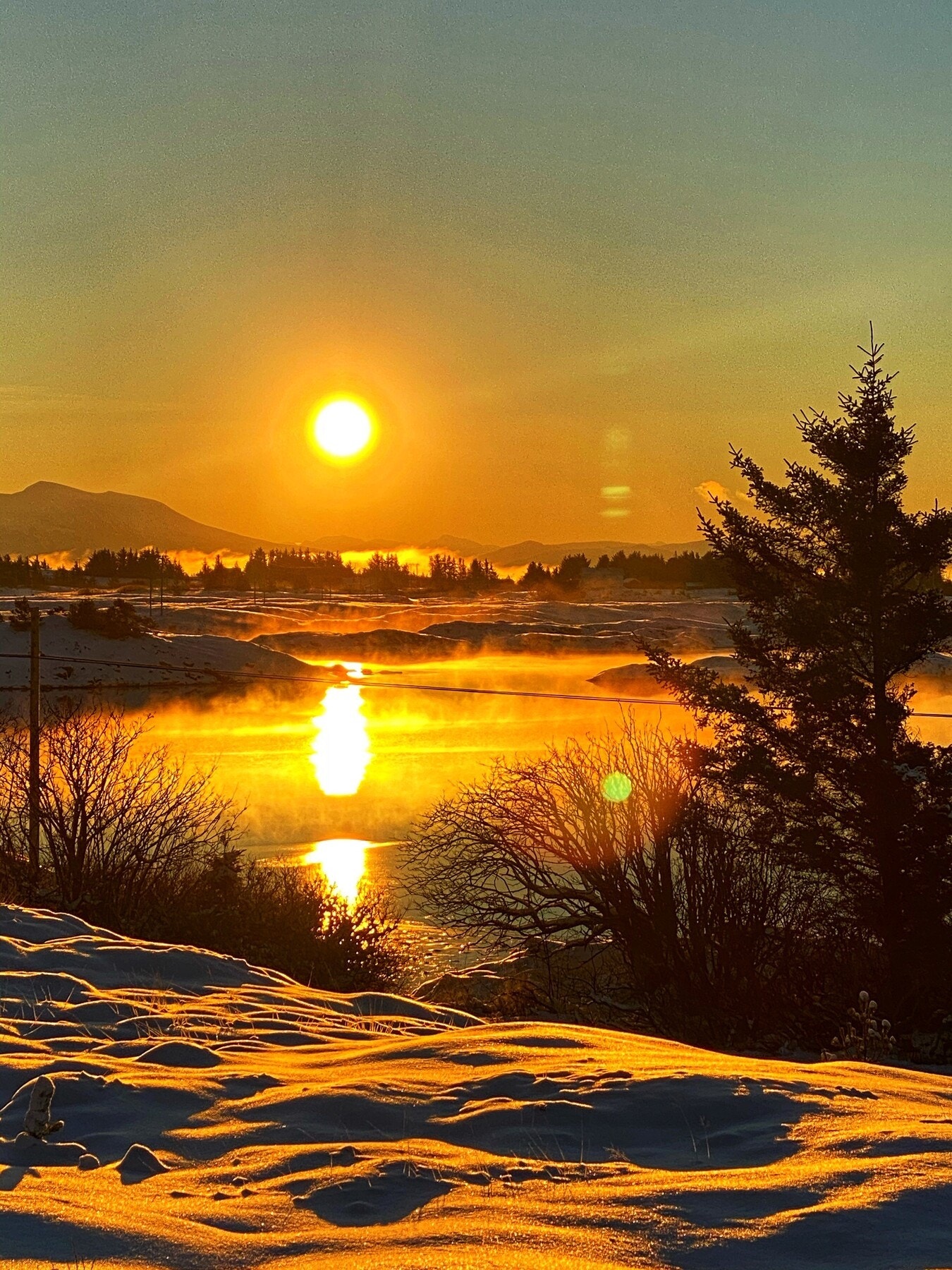 Selgers eget bilde Galleribilde