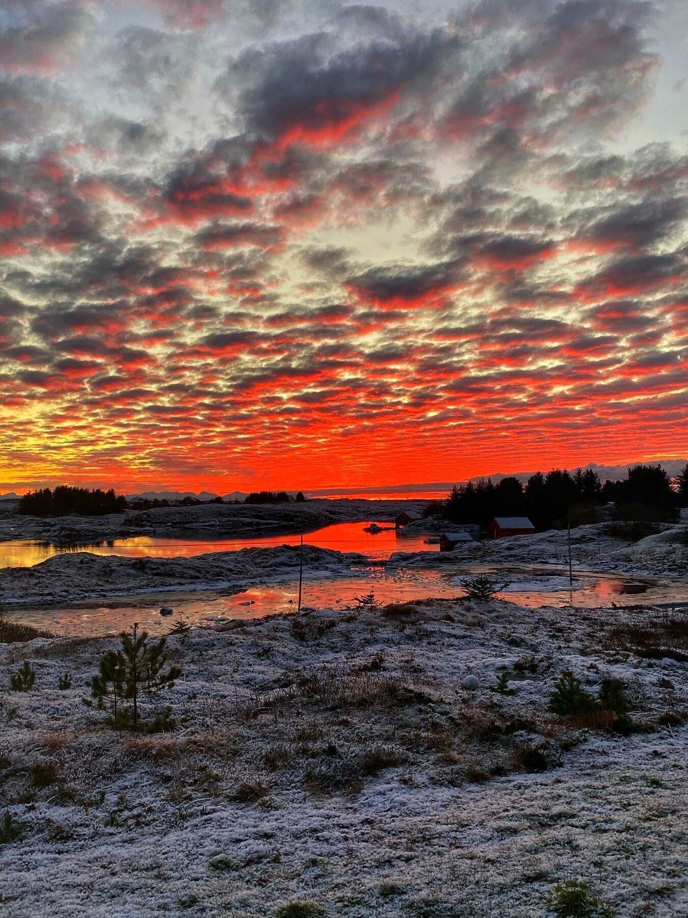 Selgers eget bilde Galleribilde