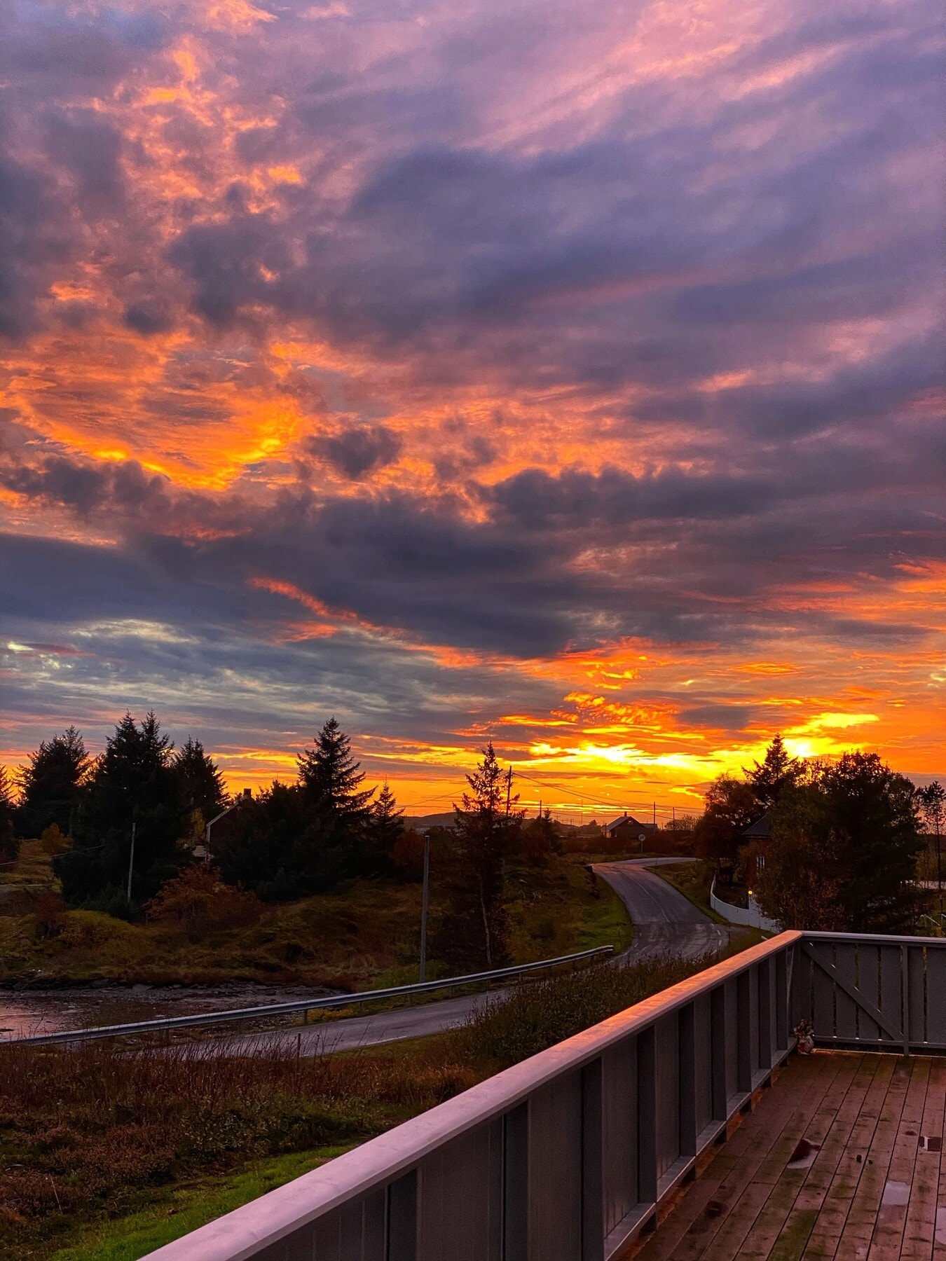 Selgers eget bilde Galleribilde