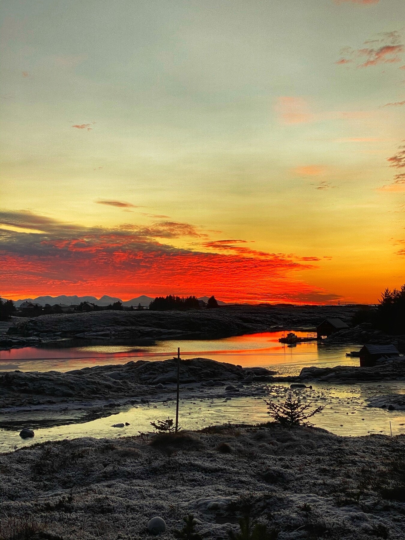 Selgers eget bilde Galleribilde