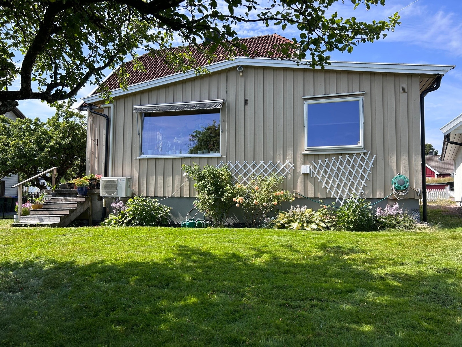 Stor og frodig hagetomt - her et bilde fra sommeren 2025 Galleribilde