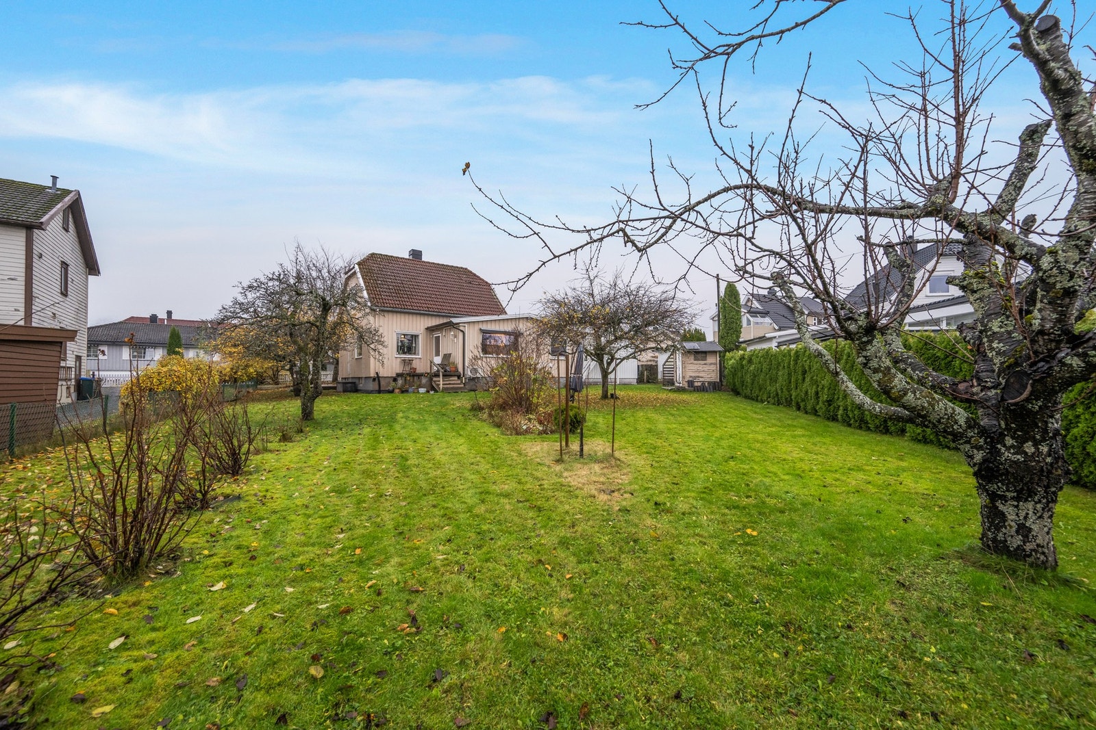 På den store tomten er det god plass for både drivhus, trampoline, fotball (Heia Borre...) og kortreiste grønnsaker Galleribilde