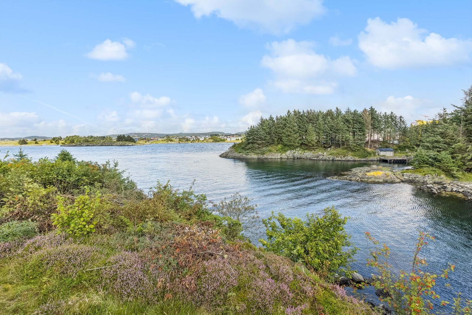 Idyllisk og landlig beliggenhet rett ved sjøen. Galleribilde