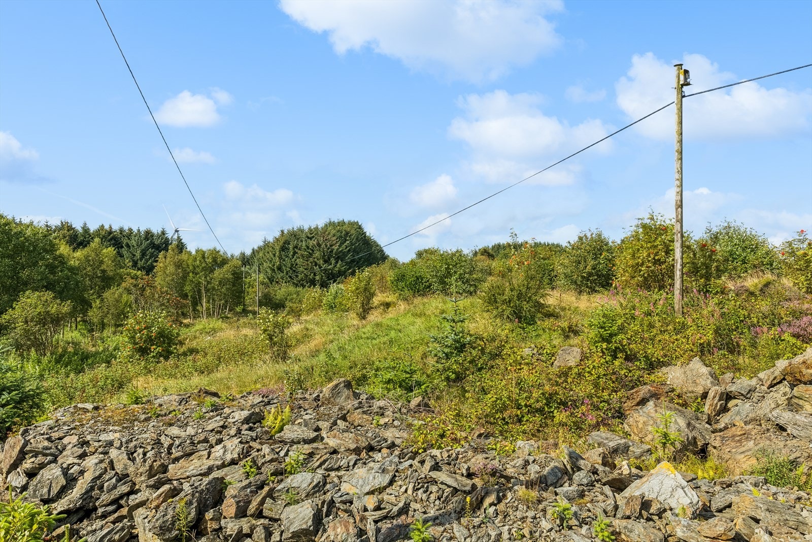 Dette er en tomt på ca. 1 952.2 kvm som er ihht kommuneplanen avsatt til bolig. Galleribilde