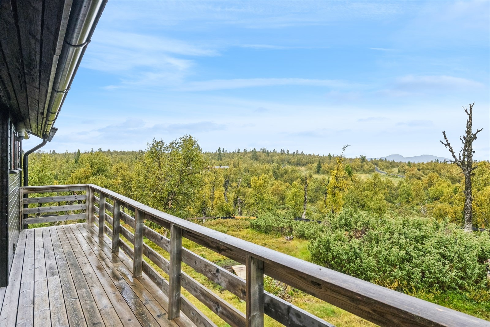 Tenk å stå opp til denne utsikten! Galleribilde