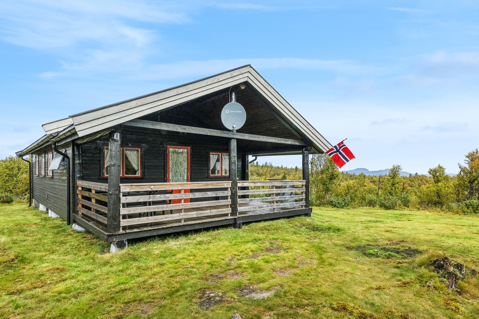 Velkommen til en hyggelig visning! Galleribilde