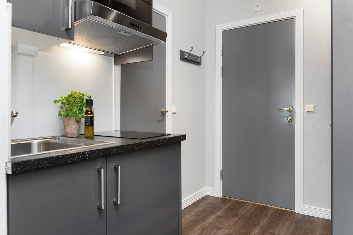 Fult utstyrt kjøkken med kokeplate og micro Galleribilde