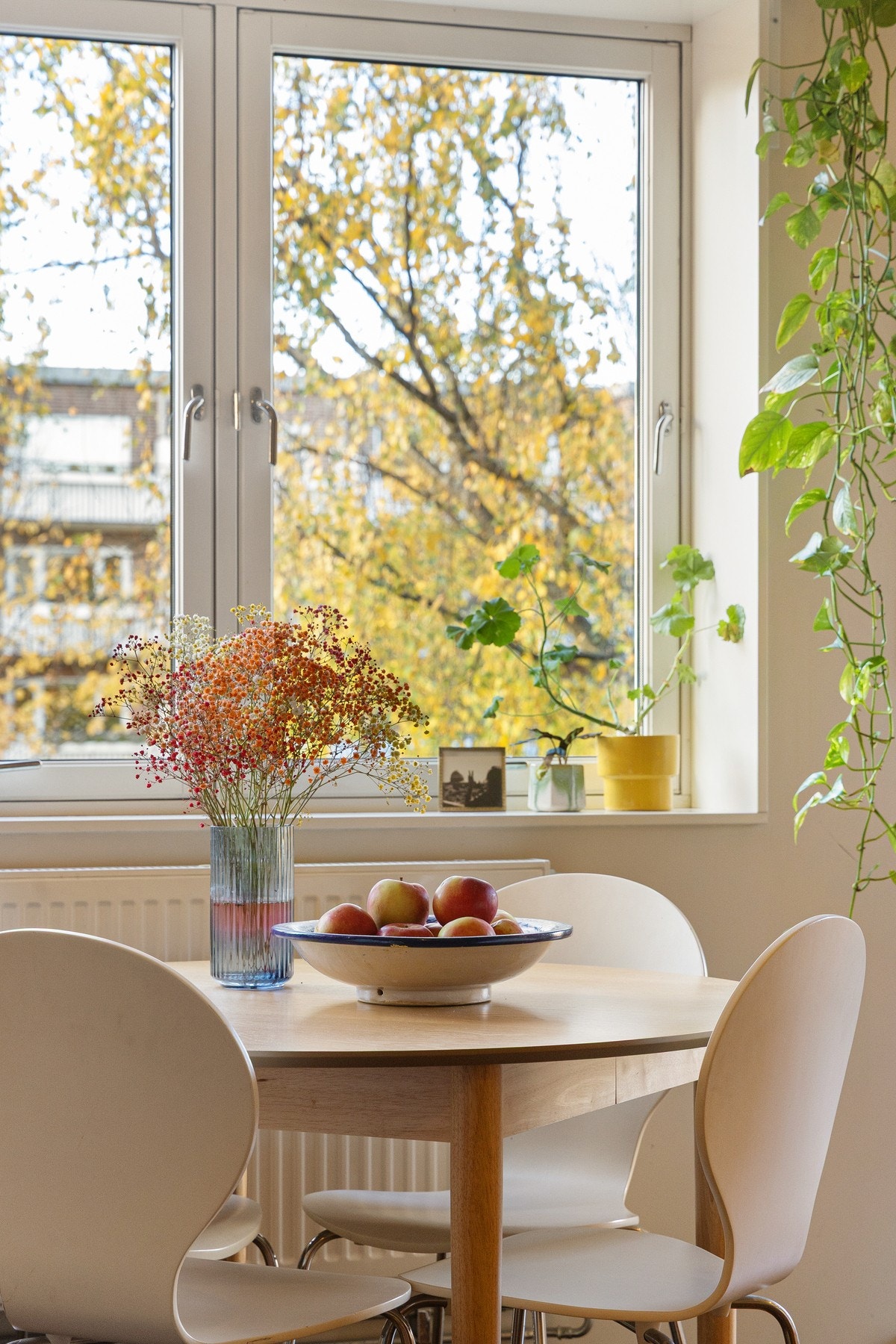 De dype vinduskarmene gir gode muligheter for dekorative elementer som planter og annen pynt, noe som bidrar til å forsterke den varme og hjemlige stemningen i rommet. Galleribilde