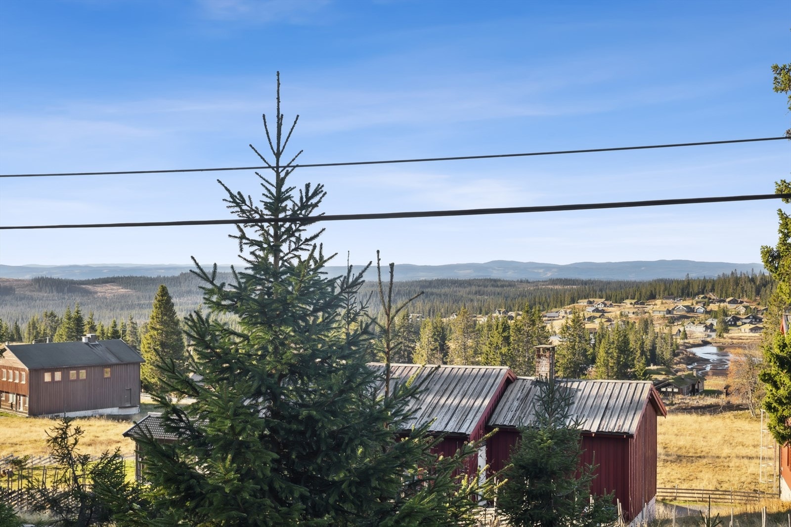 Velkommen på visning! Galleribilde