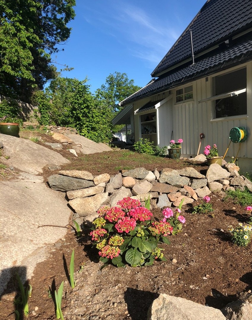 Bilde av hagen tatt av selger. Galleribilde