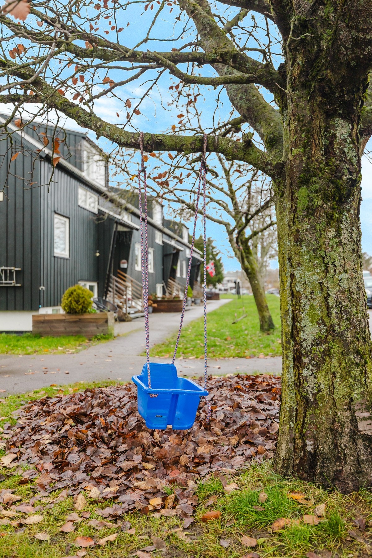 Nærområdet. Galleribilde