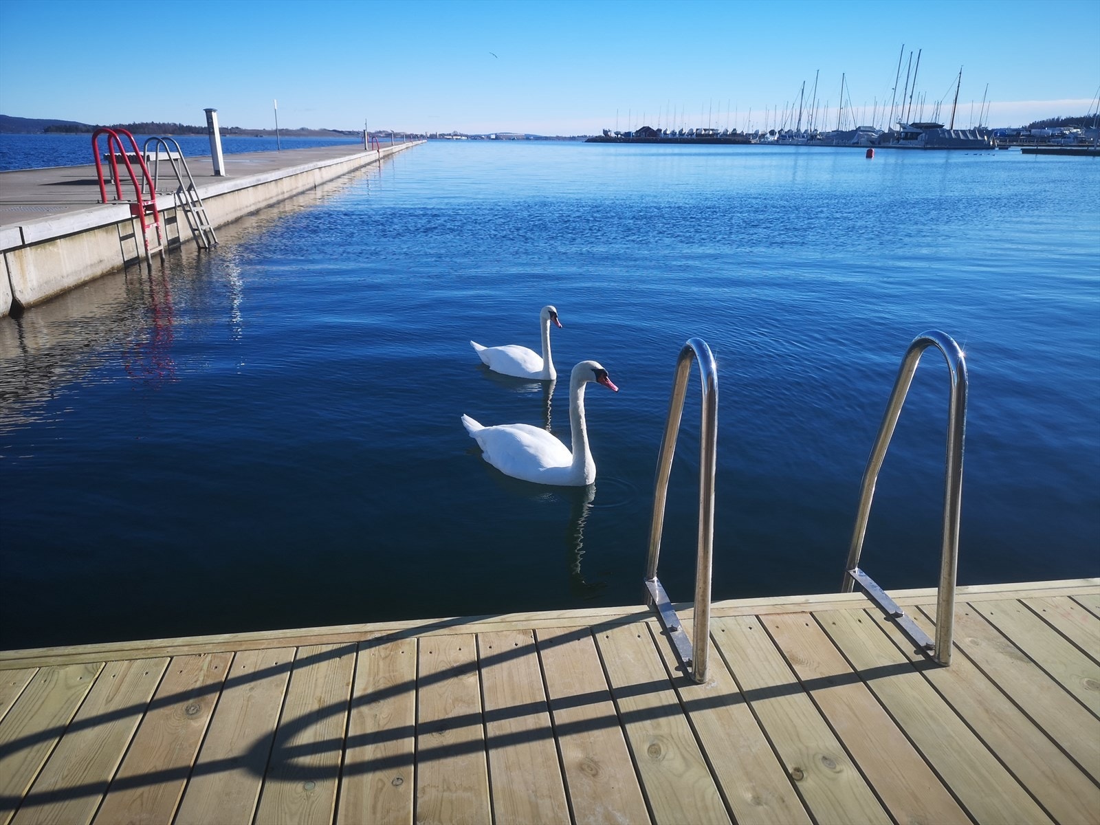 Fantastiske bademuligheter rett ved leiligheten. Galleribilde