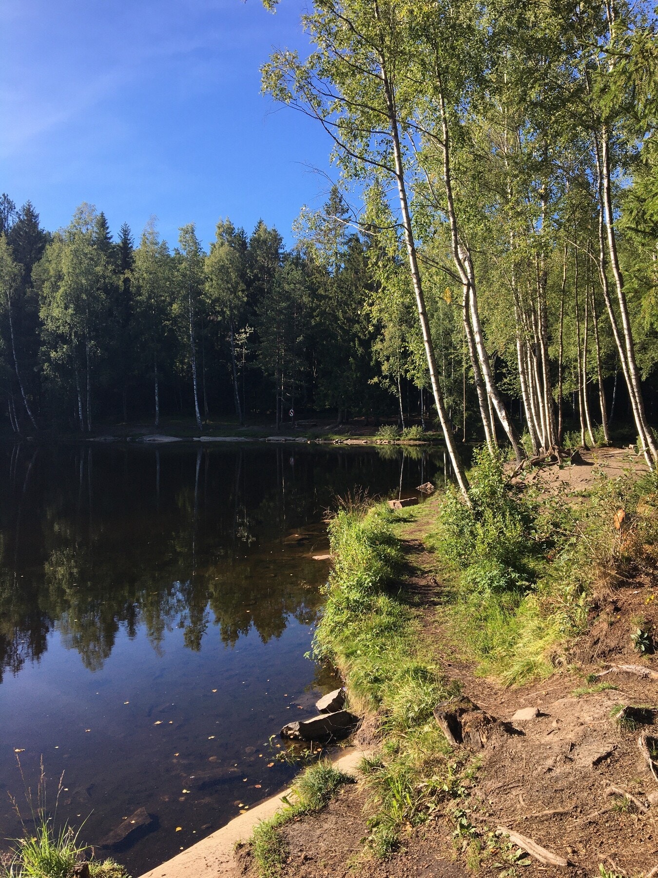 Isdammen sommerstid, selgers bilde Galleribilde