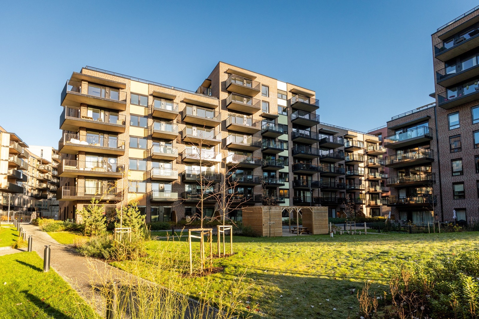 Pent opparbeidet fellesareal med pergola, sittebenker, gressplen og beplantning. Galleribilde