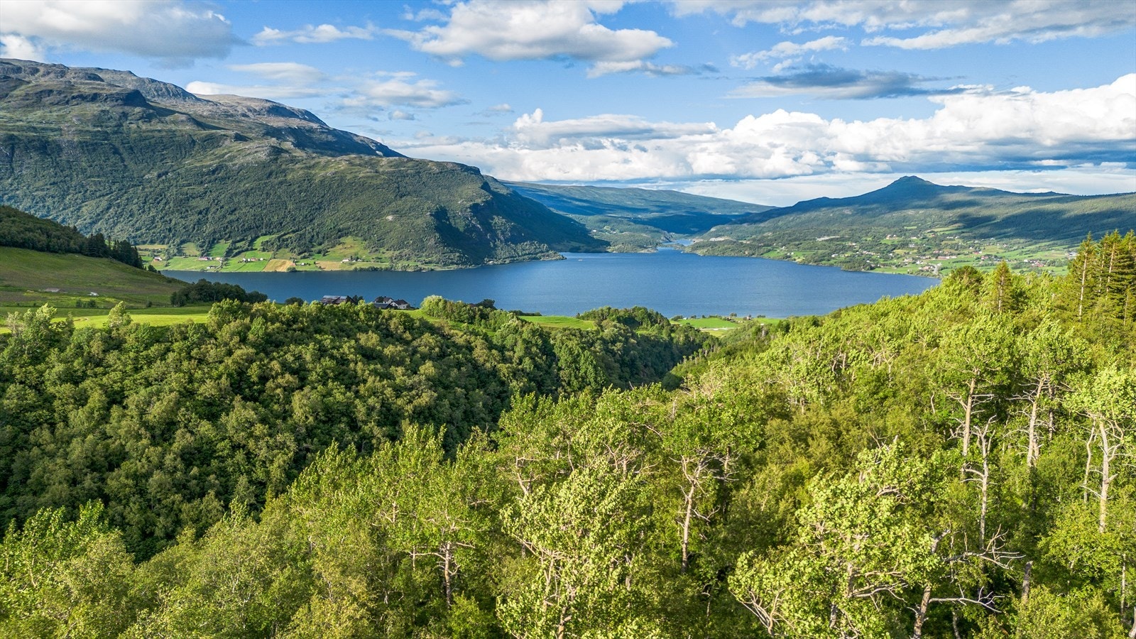Her er det nydelig utsikt til store fjellområder som bla. Storenibb, Bergsfjellet, Vennisfjellet, Skutshorn og Grindane. Før bladene kommer på trærne kan du også se Vangsmjøsa! Galleribilde