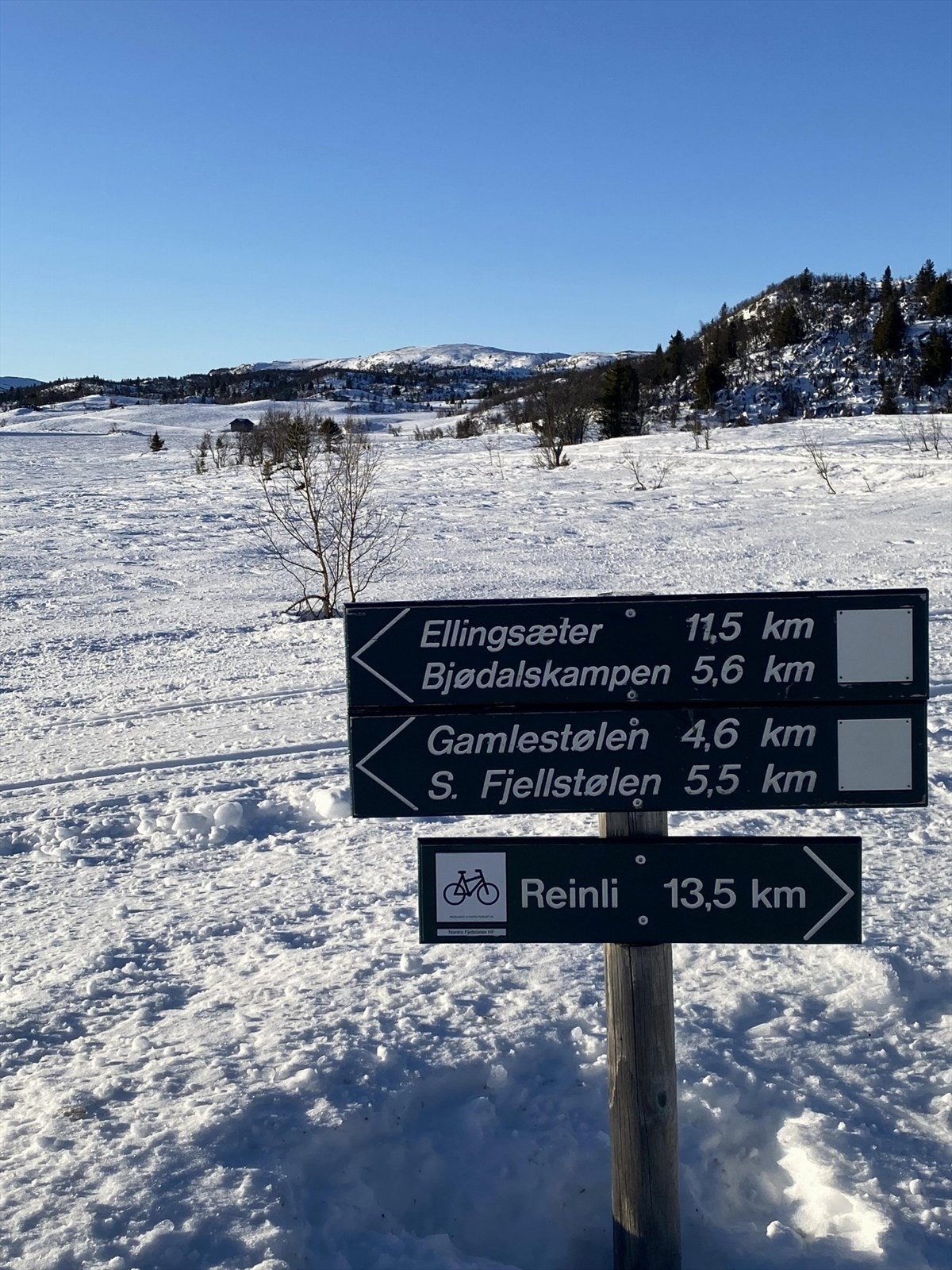 På Nordre Fjellstølen er det et fantastisk løypenett, hvor flere av løypene også har skøytetraséer. Galleribilde