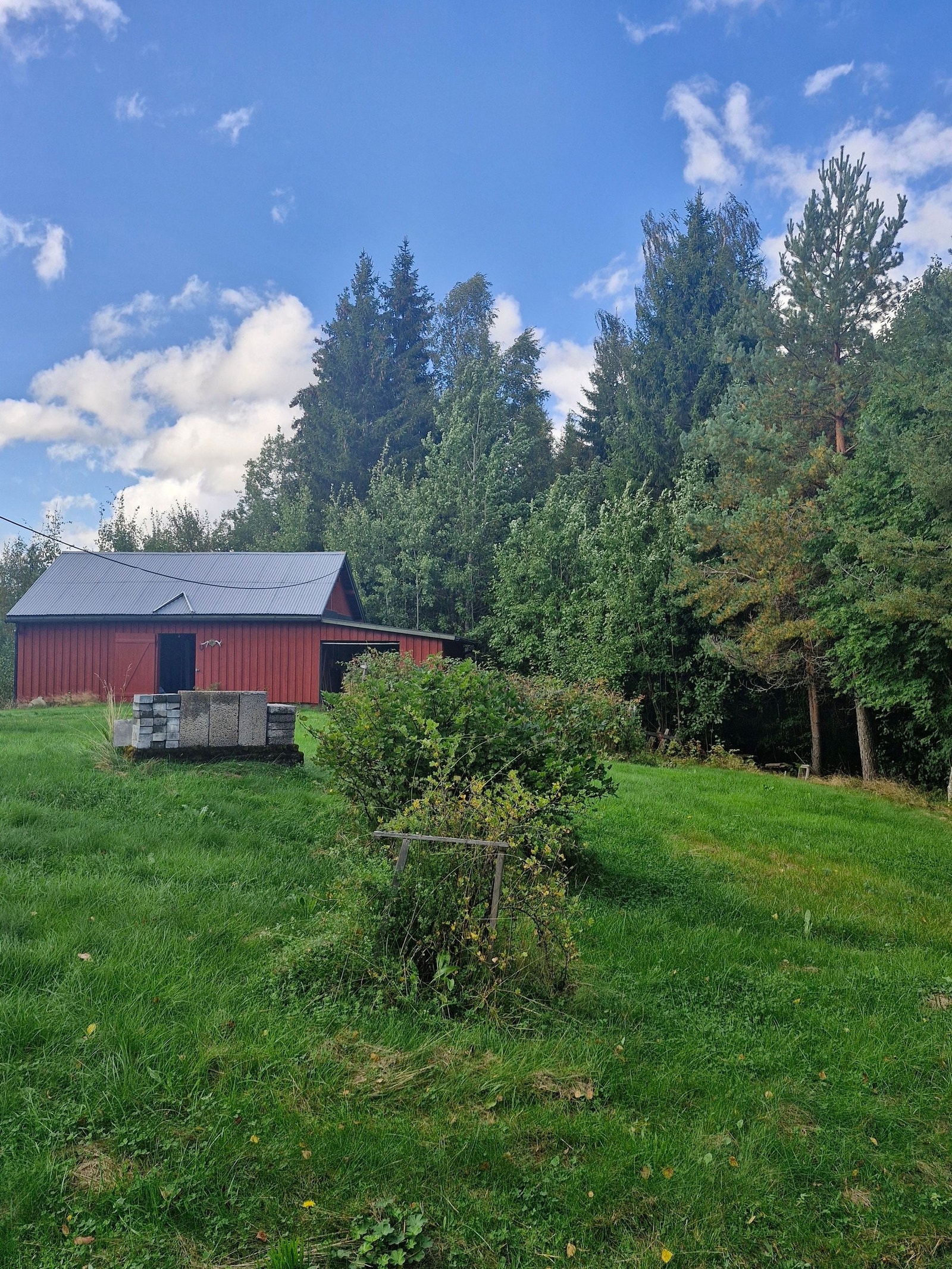 Hage / utebod Galleribilde