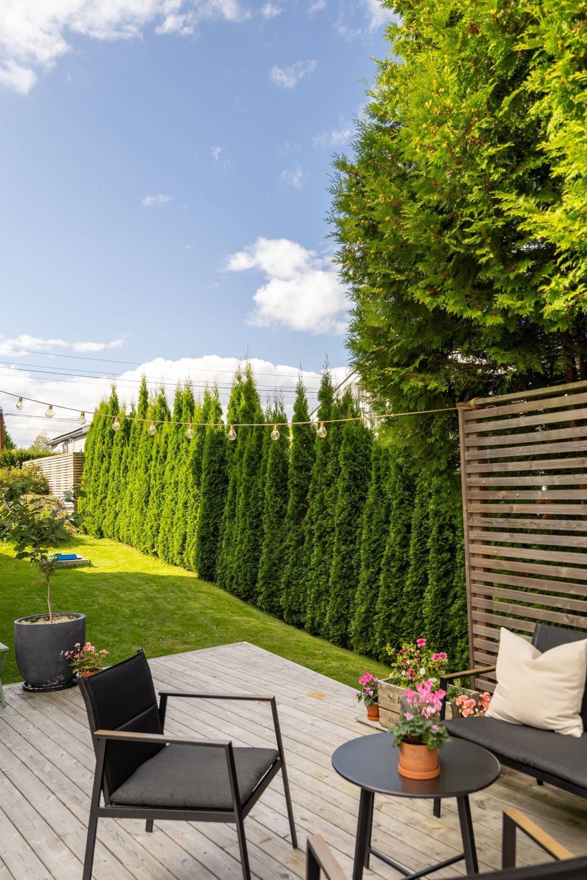 Den felles hagen har gode solforhold. Galleribilde