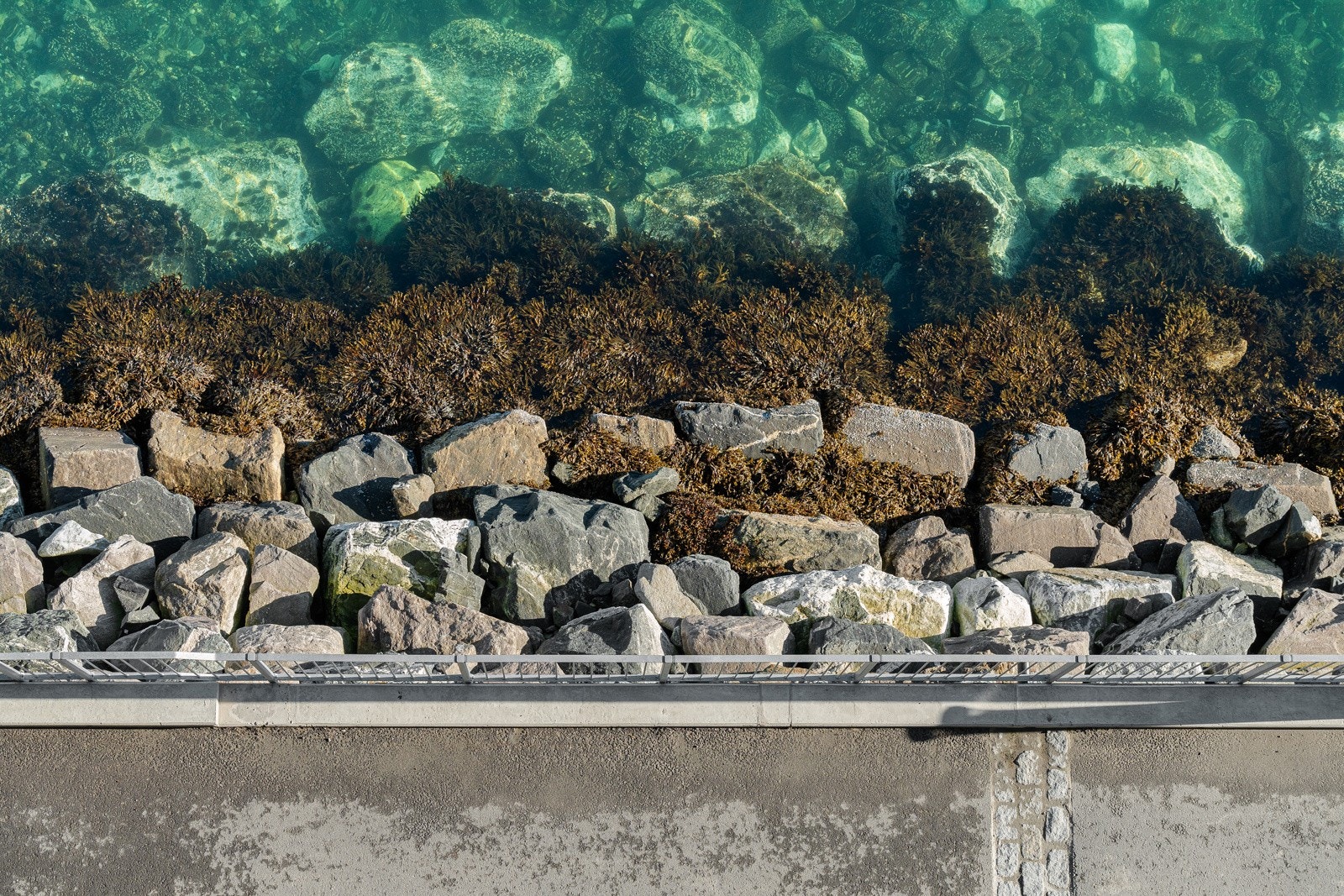 Flotte uteområder med sjøtrapp for bading og utsett av kajakk.