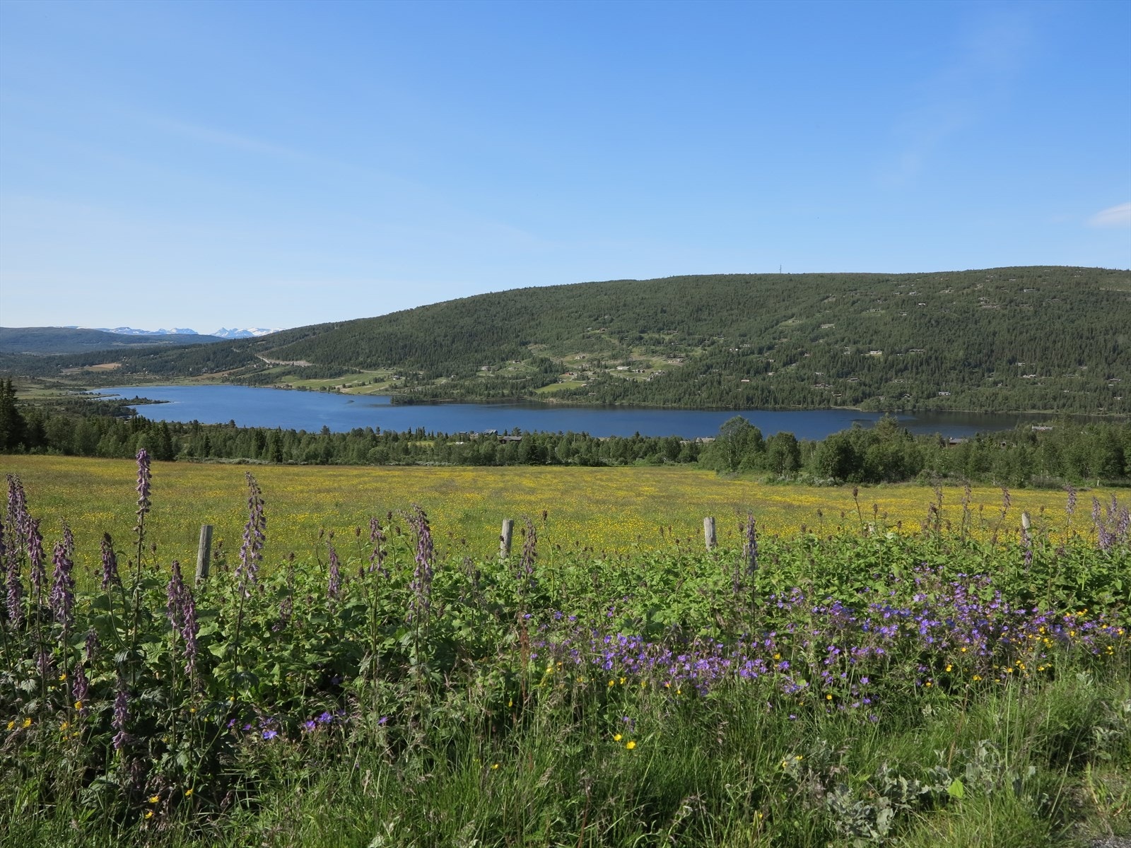 Vasetvannet ligger som en vakker perle i dalbunnen. Galleribilde