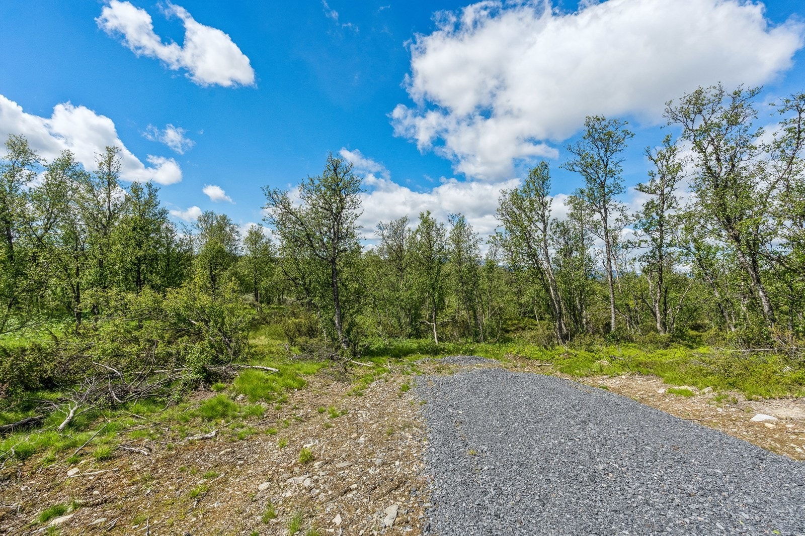 Tomta ligger lett tilgjengelig året rundt. Det er opparbeidet vei inn til tomtegrensen. Galleribilde