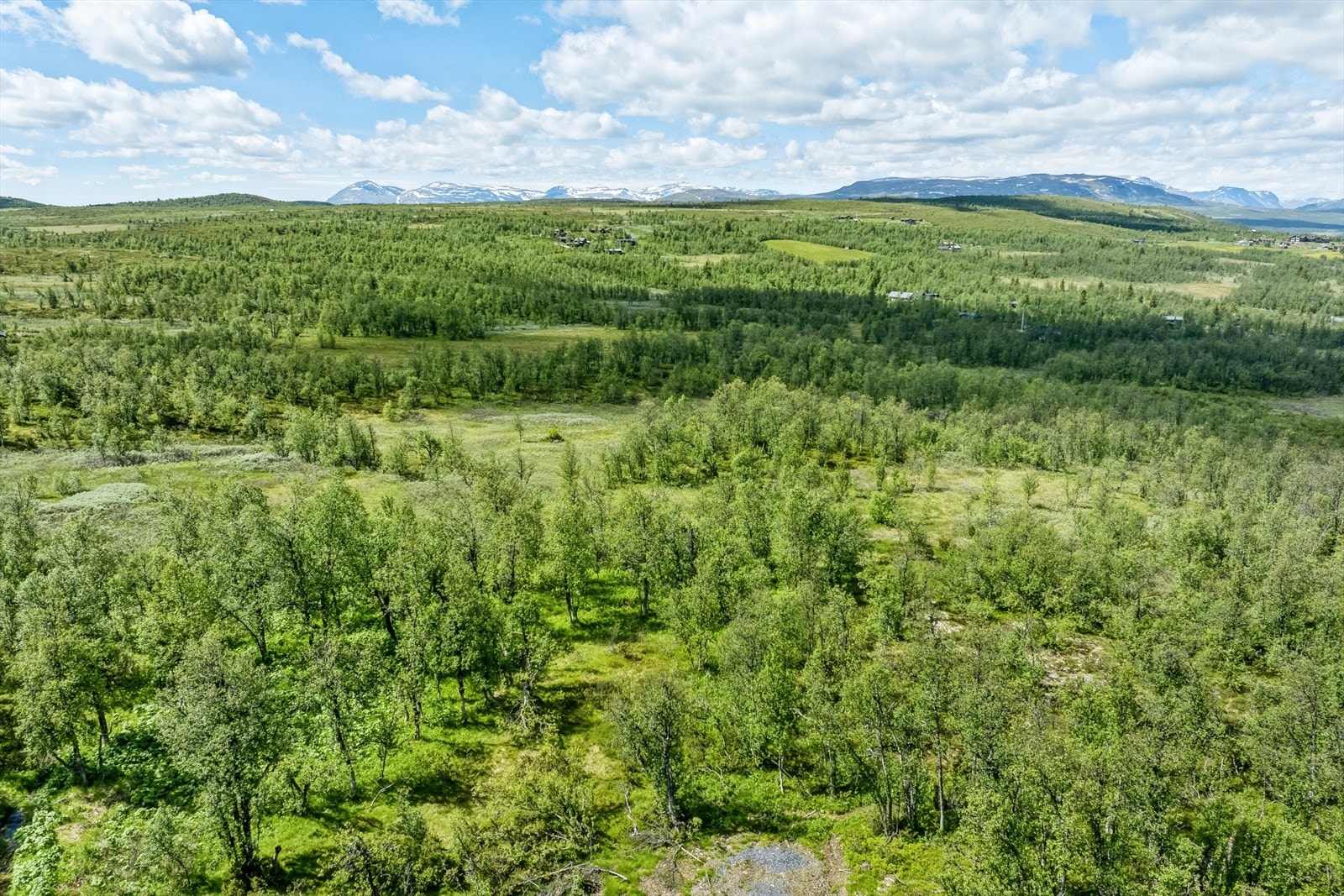 Tomta ligger i et området som krever høy standard, dvs innlegging av strøm og her, eget vann/avløpssystem. Galleribilde