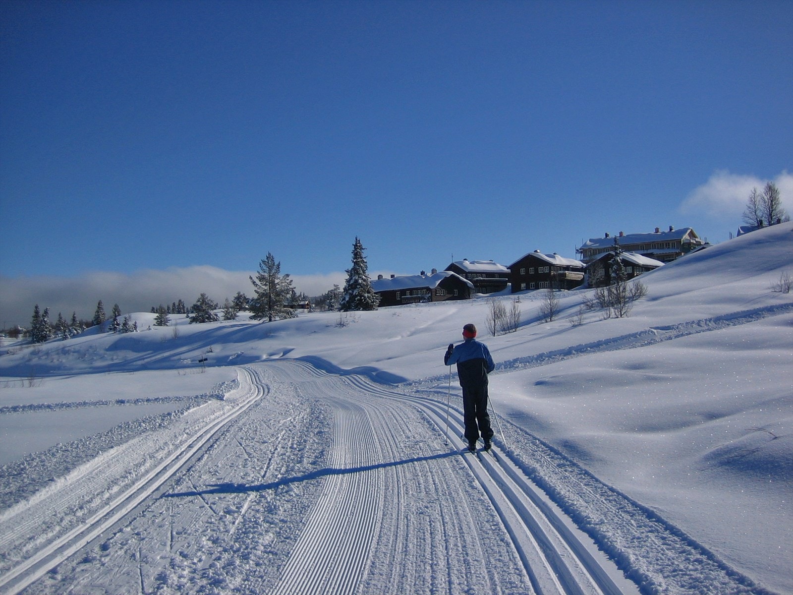 Vasetområdet byr på milevis med flotte skiløyper. De fleste skiløypene på Vaset er preparert for skøyting, så her kan både små og store, mosjonister og aktive velge løyper som passer for hver enkelt. Galleribilde