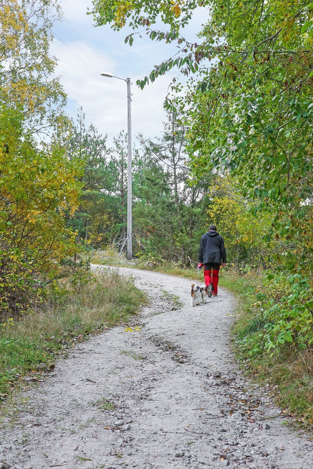 Flotte turområder i Begbymarka som ligger rett utenfor døra med lysløyper og en ny hundepark Galleribilde