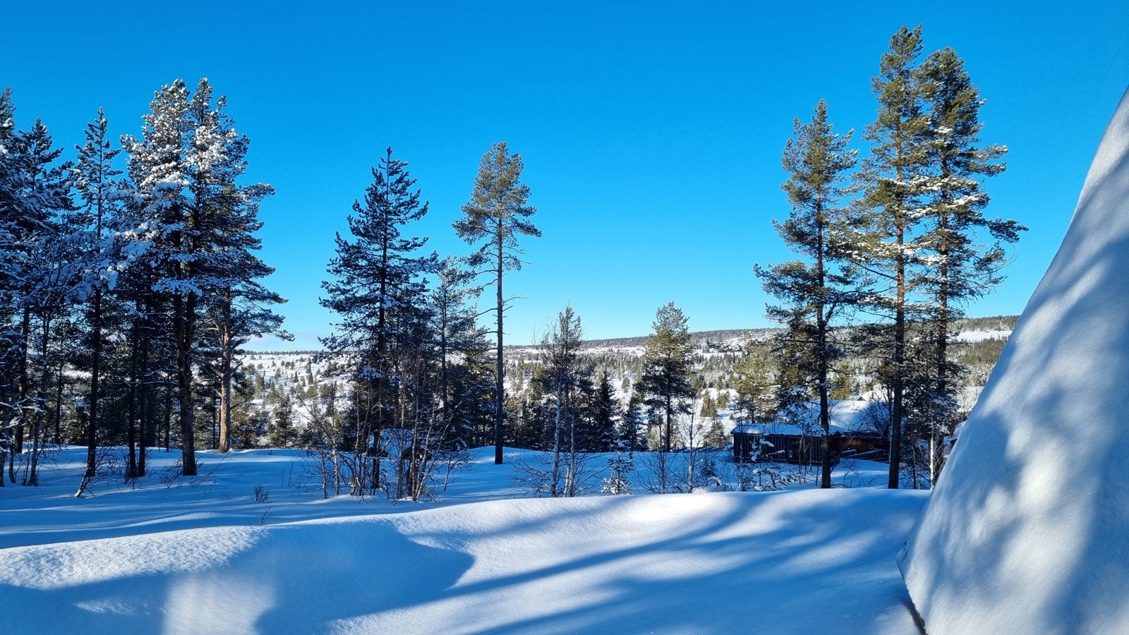 Fra hytta er det fin utsikt mot Hermannstølen. Galleribilde