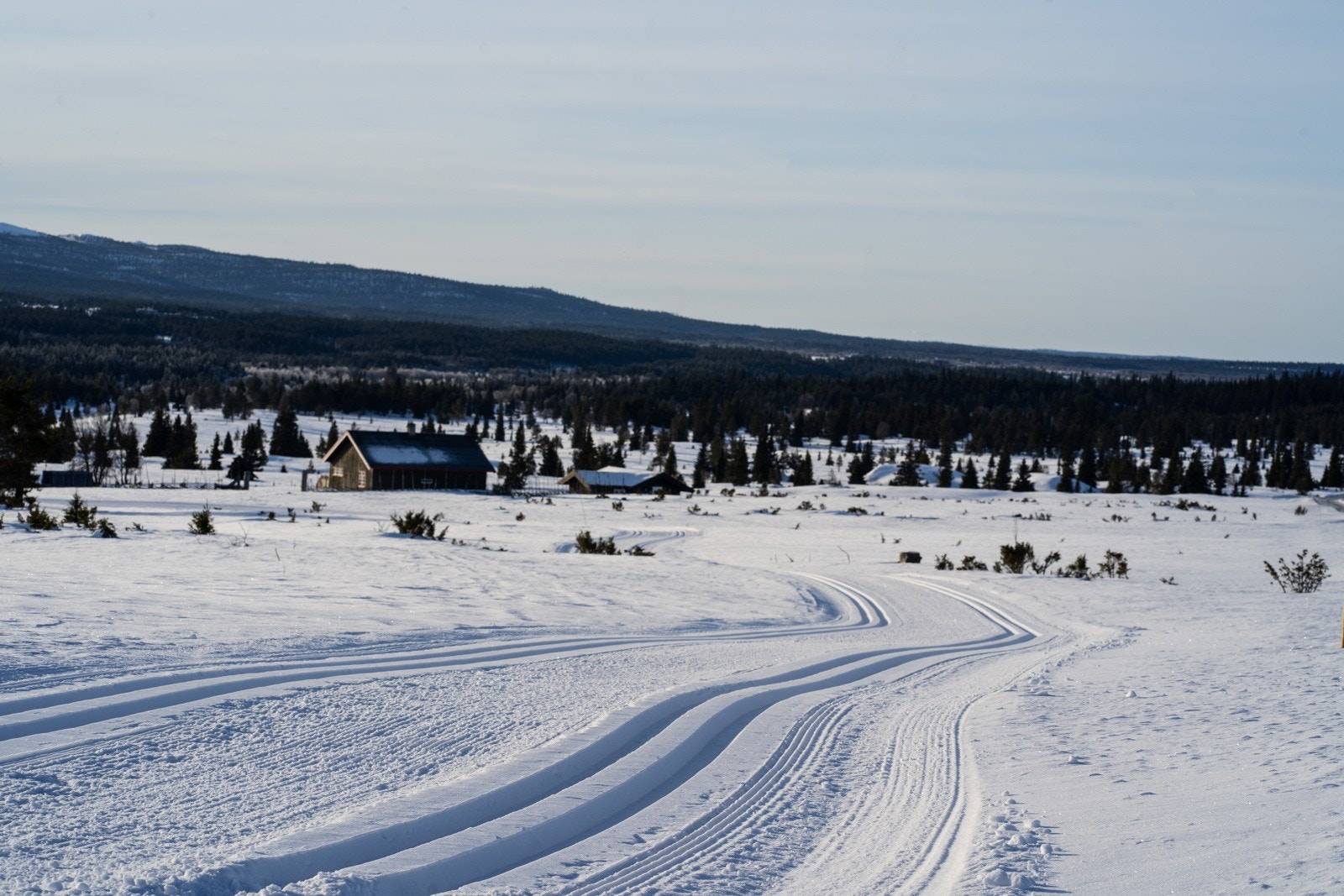 Husk å støtte løypelaget Galleribilde