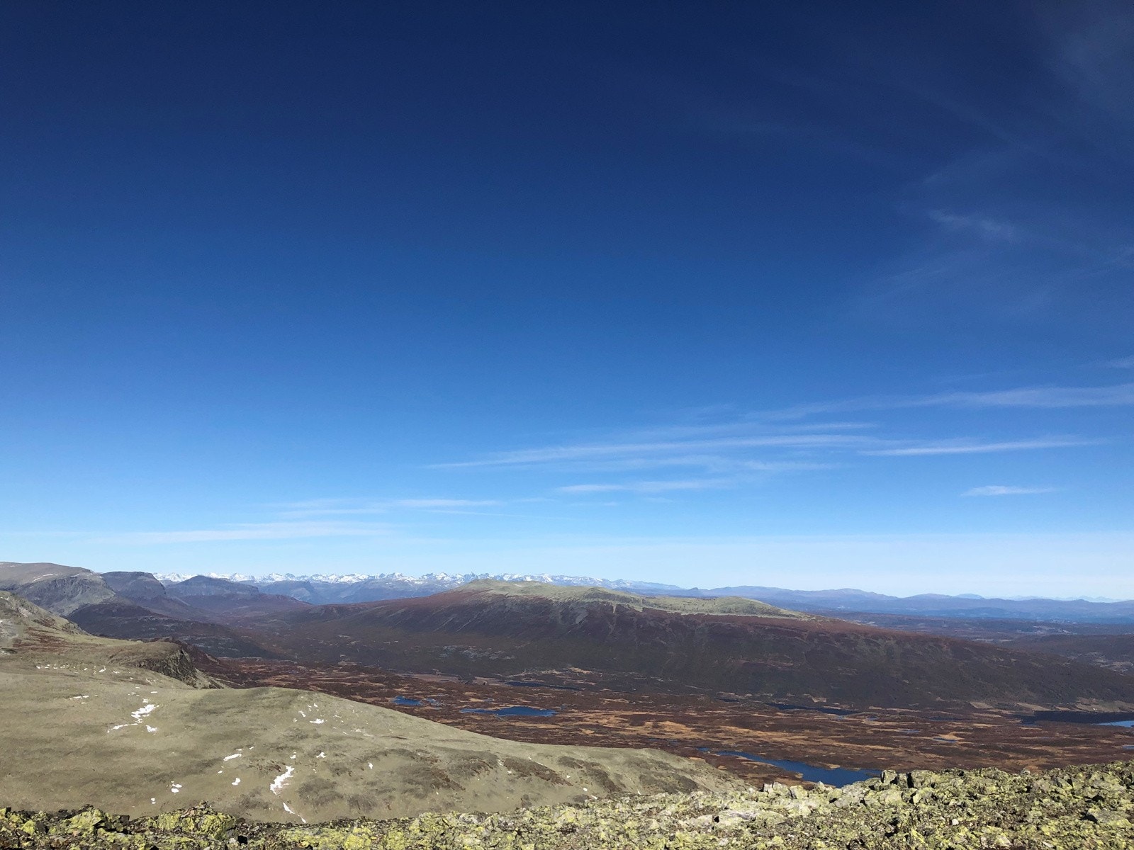 Det er mange turmuligheter i området - Her topptur til Skogshorn 1728 moh Galleribilde