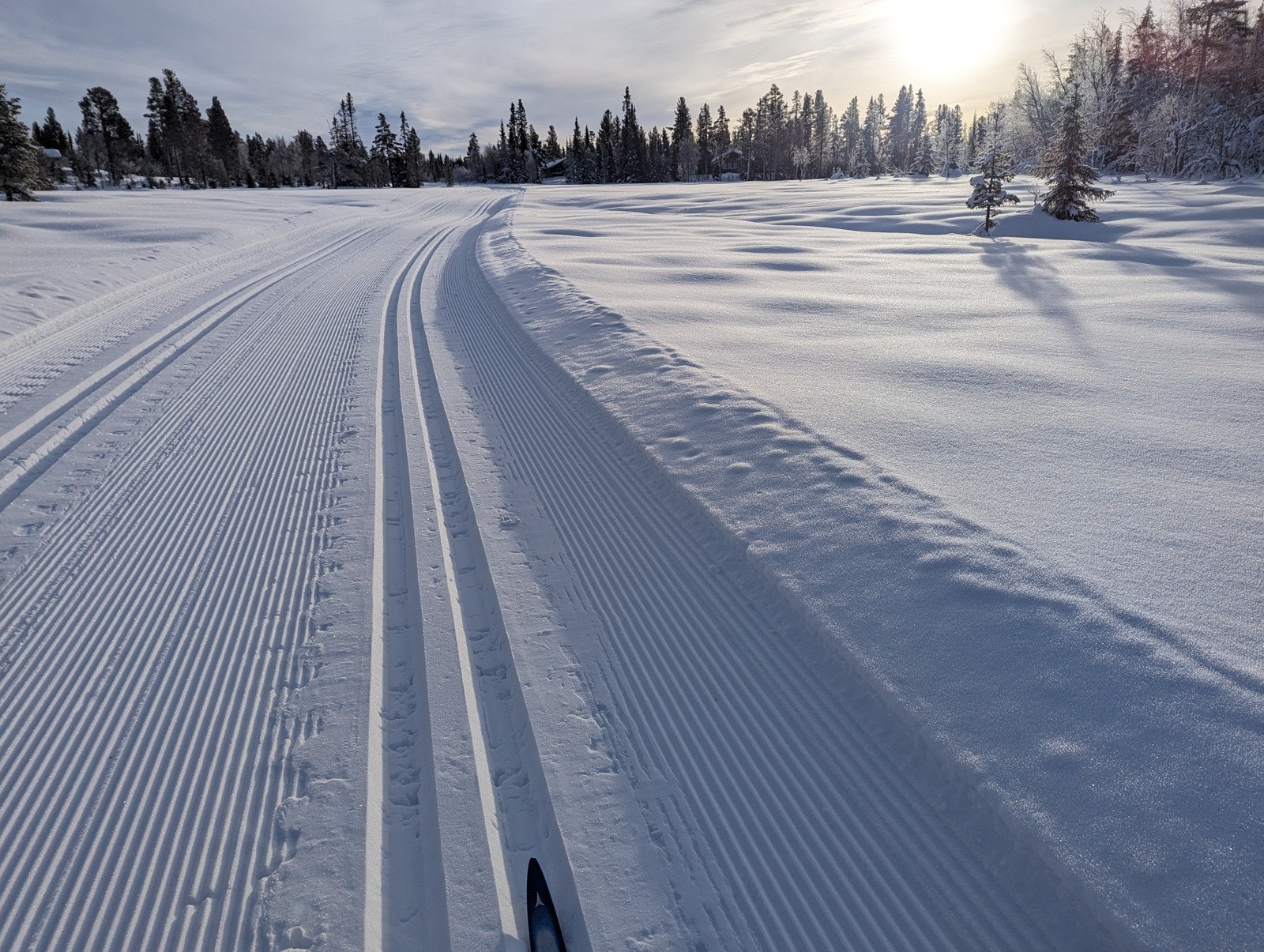 Bilde fra selgers arkiv Galleribilde