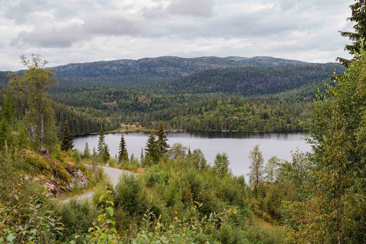Utsikt mot Store Reiårsvatn Galleribilde