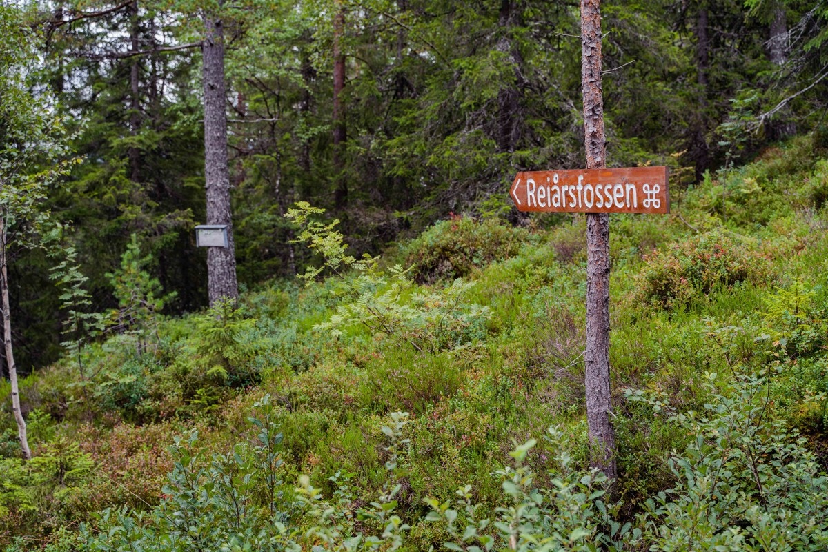 Reiårsfossen Galleribilde