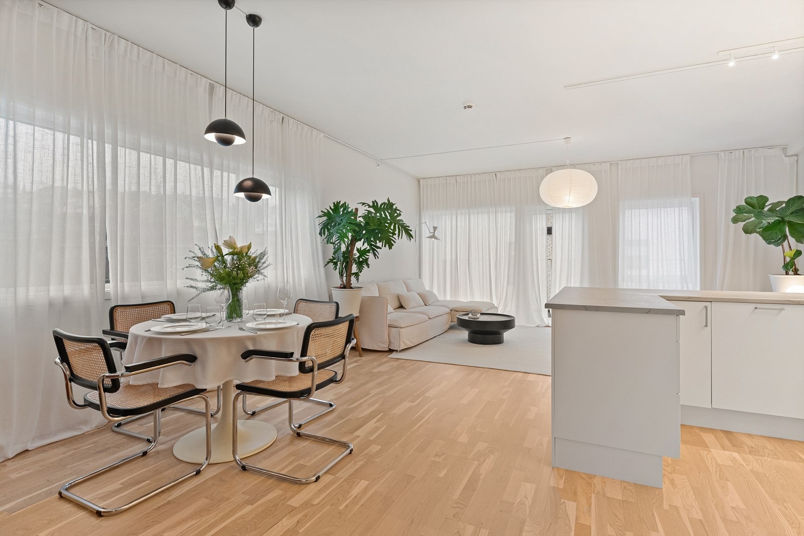 Nydelige detaljer med gardiner som gir en fin dybde i rommet Galleribilde