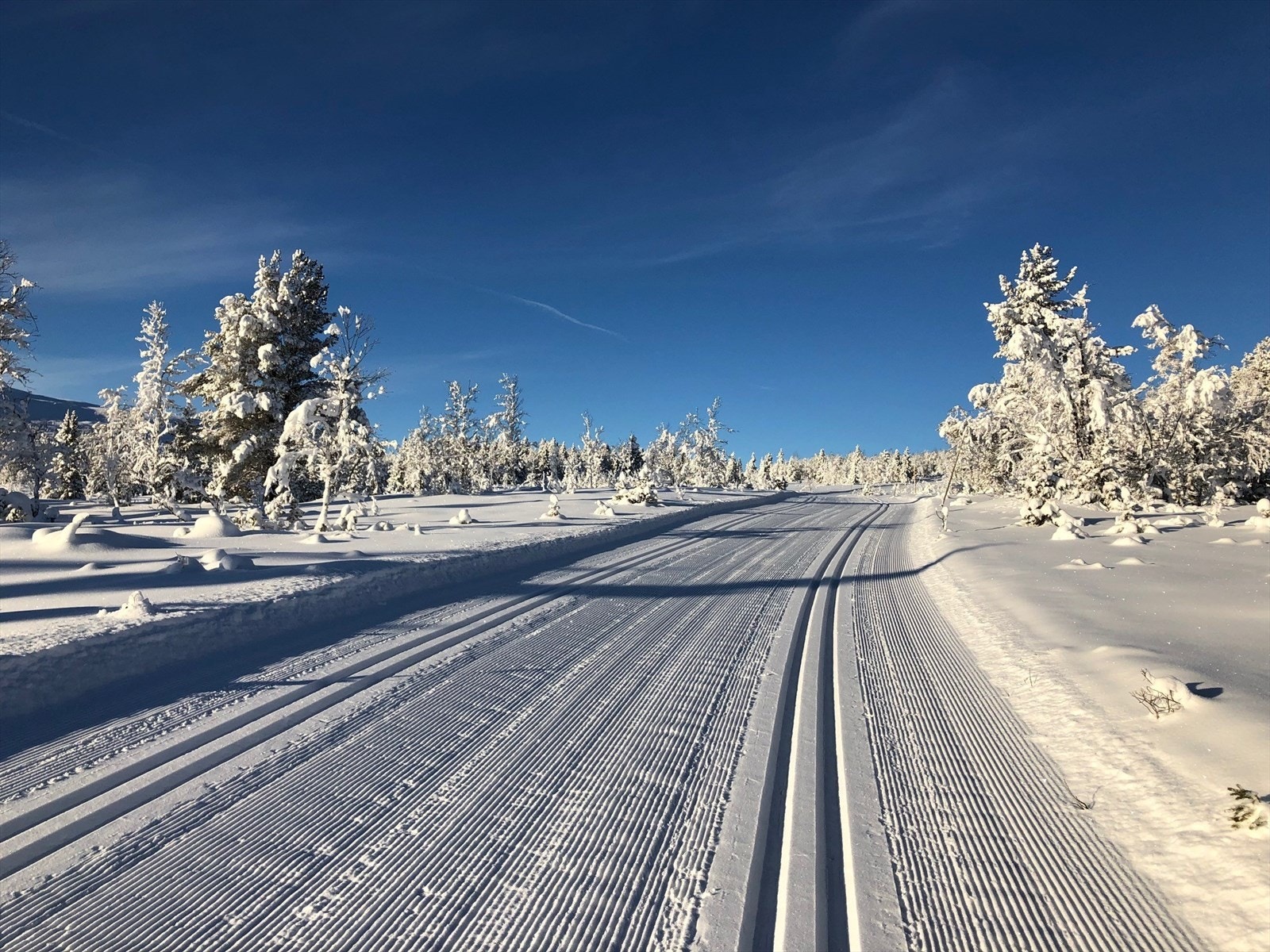 Det er kort avstand til langrennsløypene som er koblet på et omfattende løypenett med over 20 mil innover i fjellet. Galleribilde