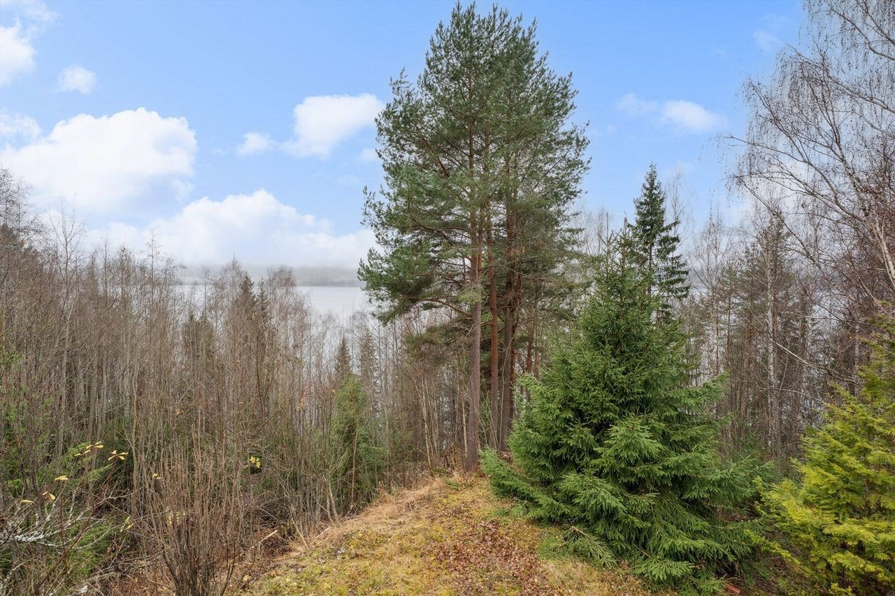 Det er mulighet for å hogge skog for å få frem utsikten. Selger opplyser at dette er muntlig bekreftet fra nabo. Galleribilde