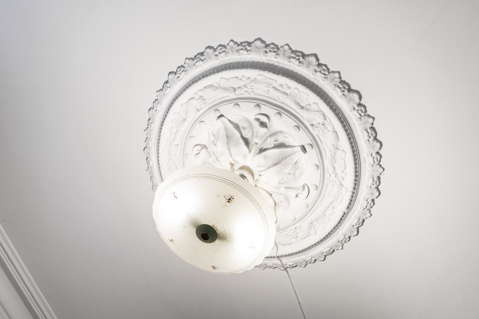 Sjarmerende rosett i taket. Galleribilde