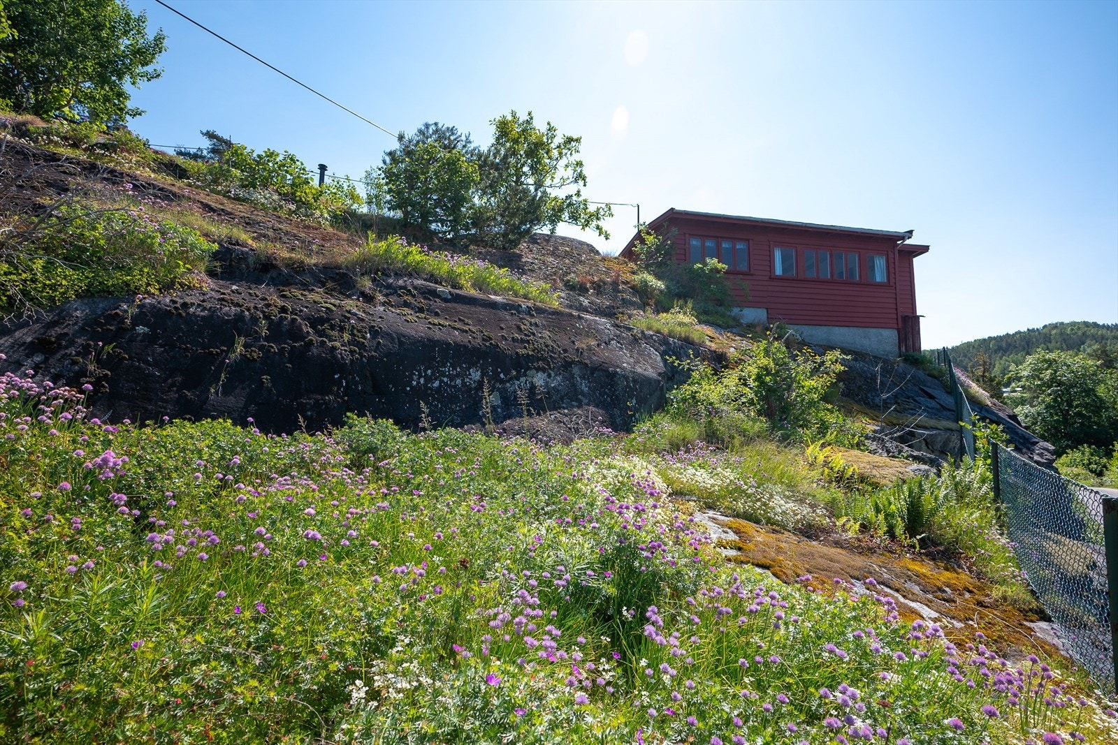 Tomten på over 597 kvm er opparbeidet med gress, busker, trær, beplantning og fjell. Galleribilde