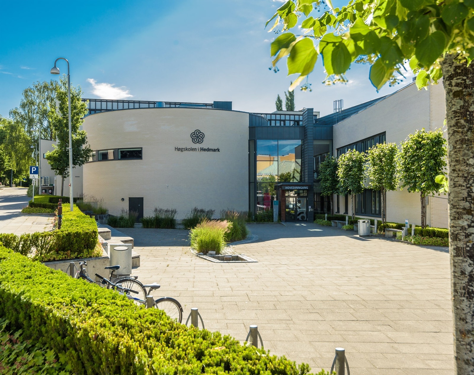 Fra leiligheten er det en kort spasertur opp til Lærerhøgskolen (Universitetet i Innlandet) Galleribilde