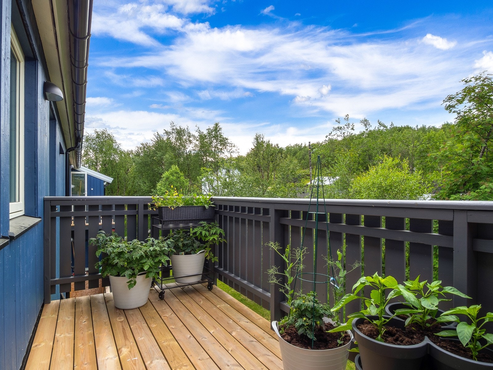 Leiligheten har en romslig altan med gode solforhold på ettermiddagstid! Galleribilde