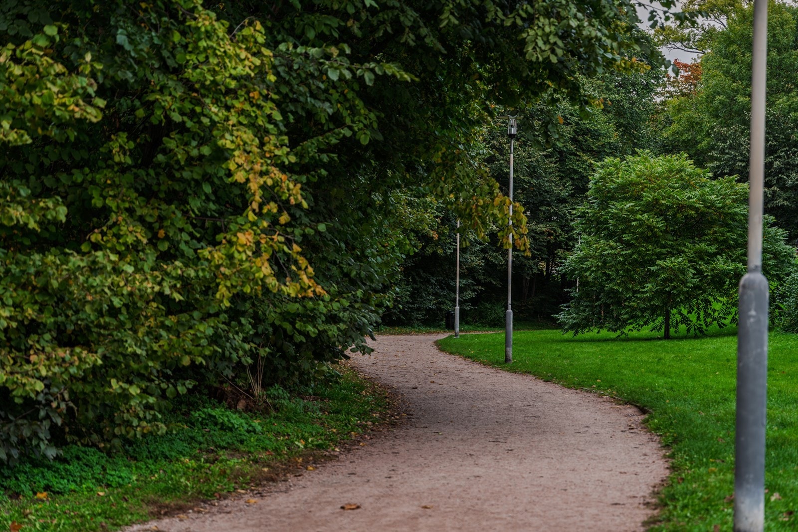 Flere turmuligheter i området - Denne lokale stien rett ovenfor veien for sameiet tar deg langs Frognerelva og inn til Frognerparken på 5-10min. Galleribilde