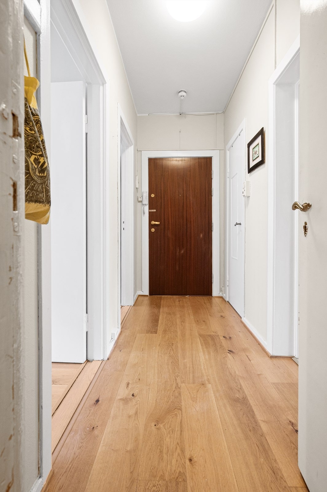 Velkommen til Sars' gate 70! Galleribilde