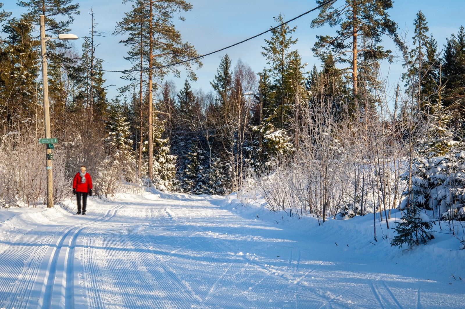 Skiløyper i nærområdet Galleribilde