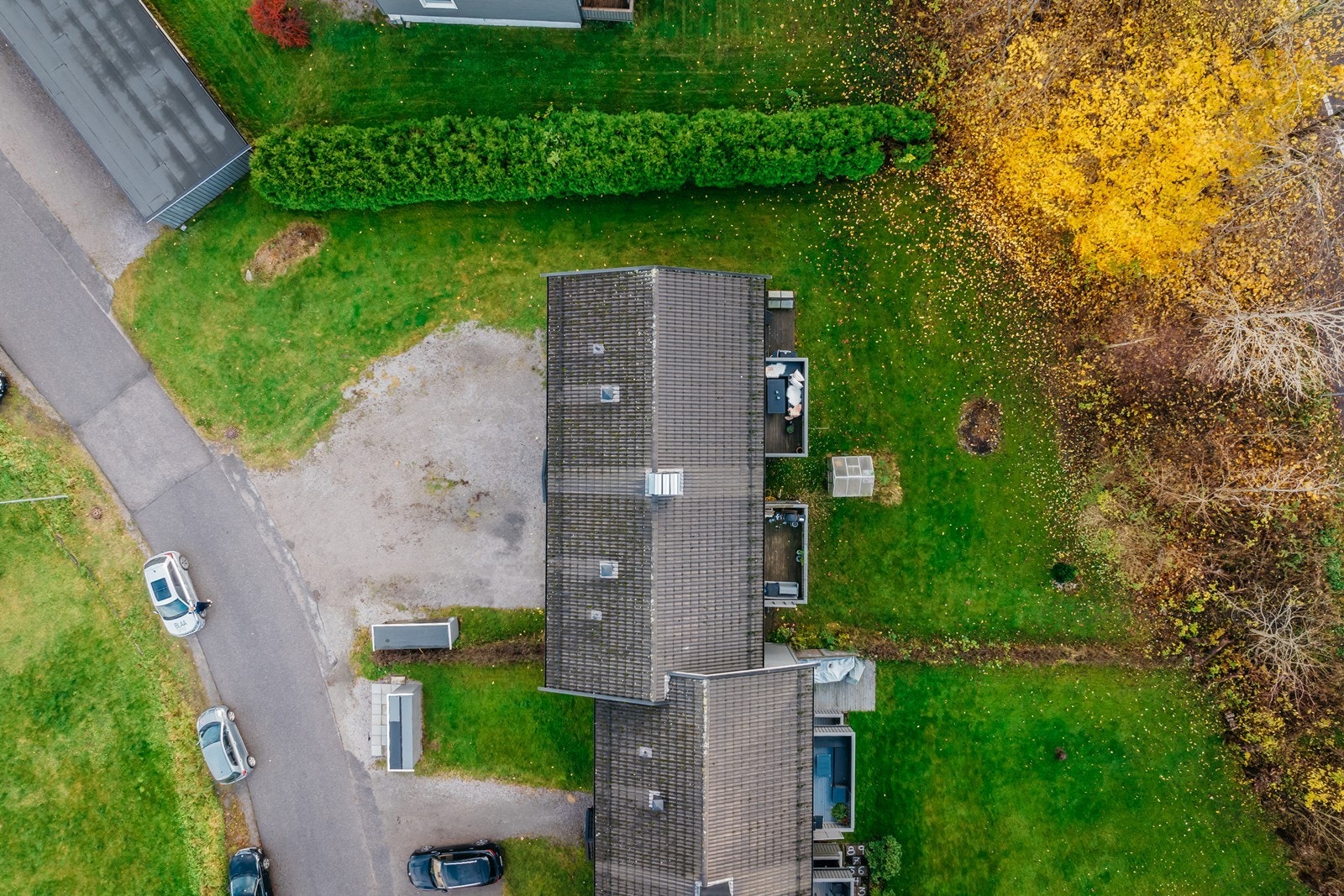 Masse av felles hage på tomten Galleribilde