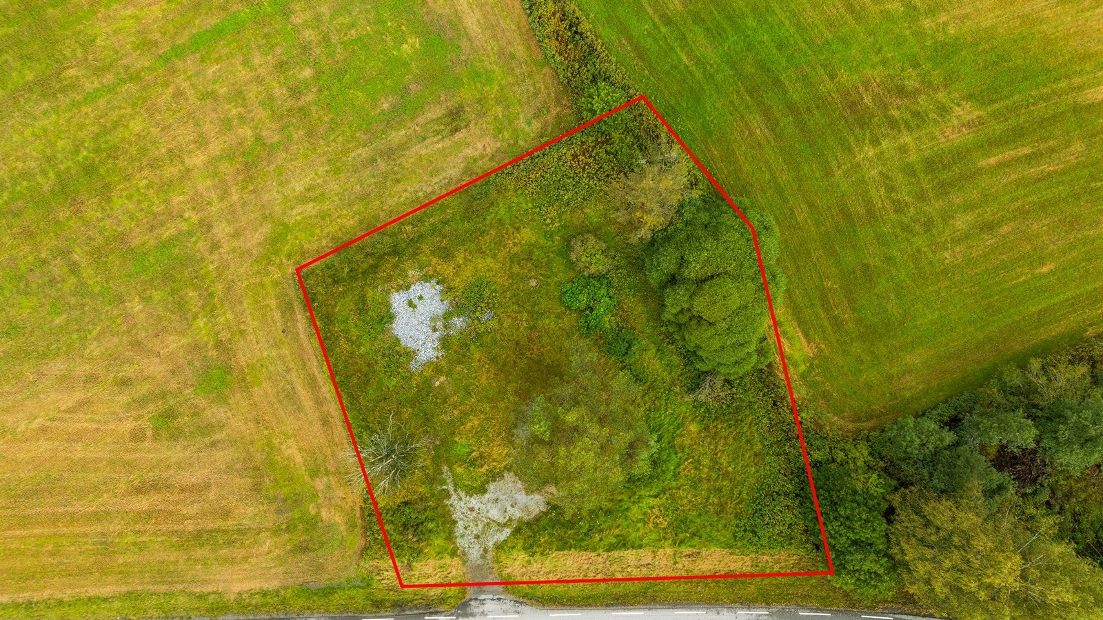 Tomtegrensen er tydelig markert og gir et godt inntrykk av eiendommens utforming og størrelse. Galleribilde