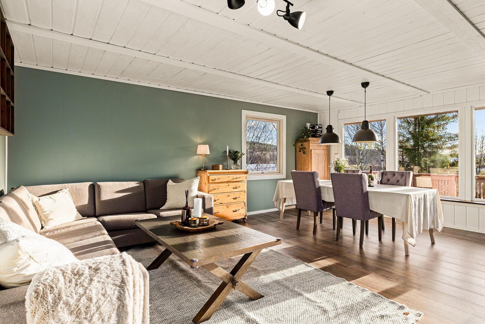 Stue har flere vindusflater som slipper inn godt med naturlig lys Galleribilde