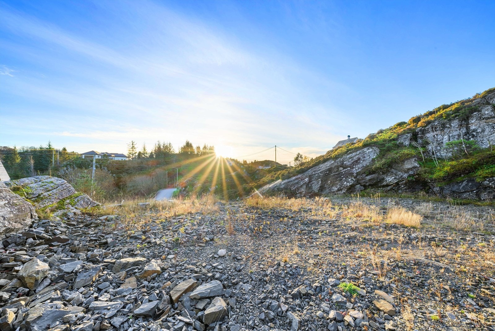 Planert tomt. Galleribilde