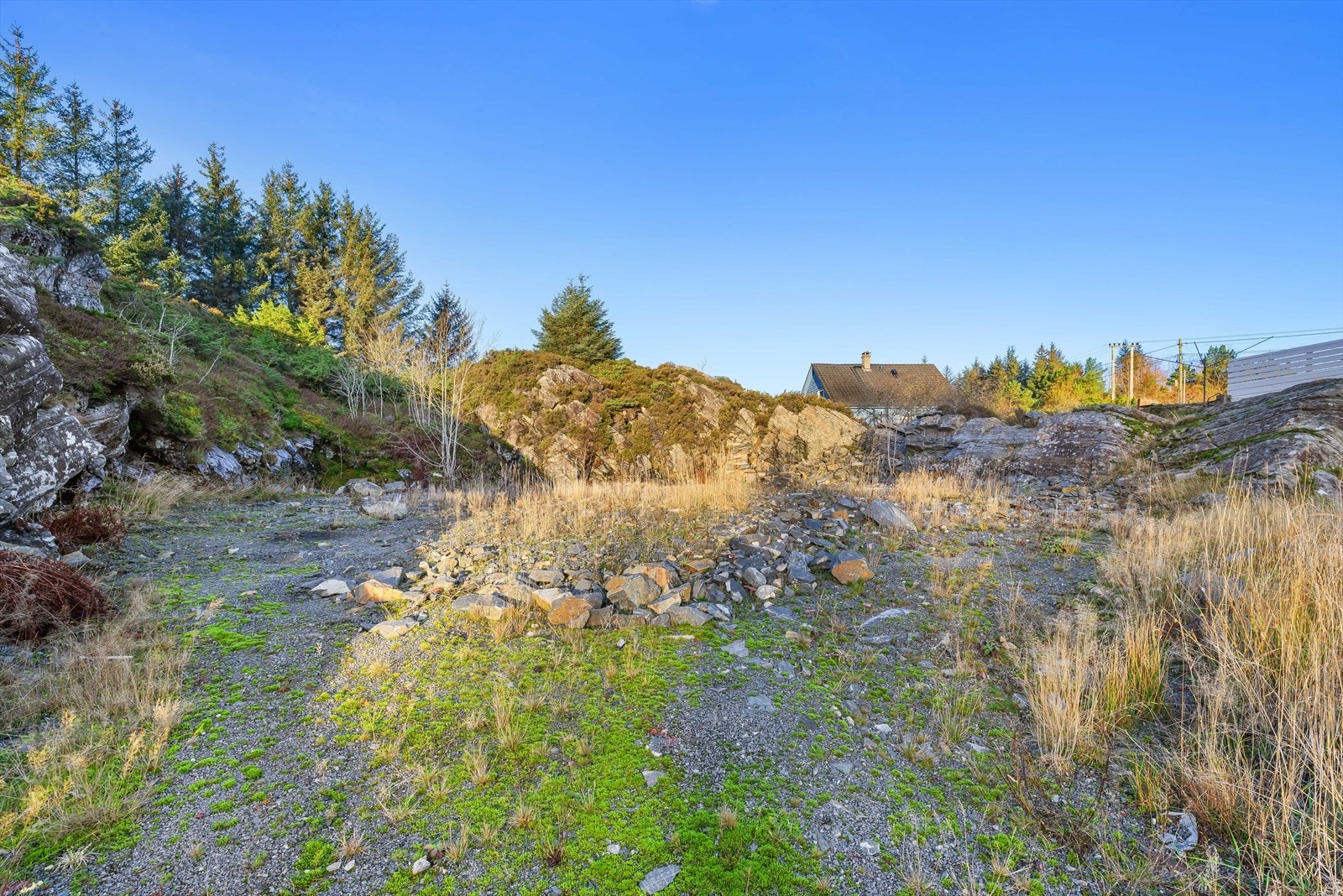 Planert tomt. Galleribilde